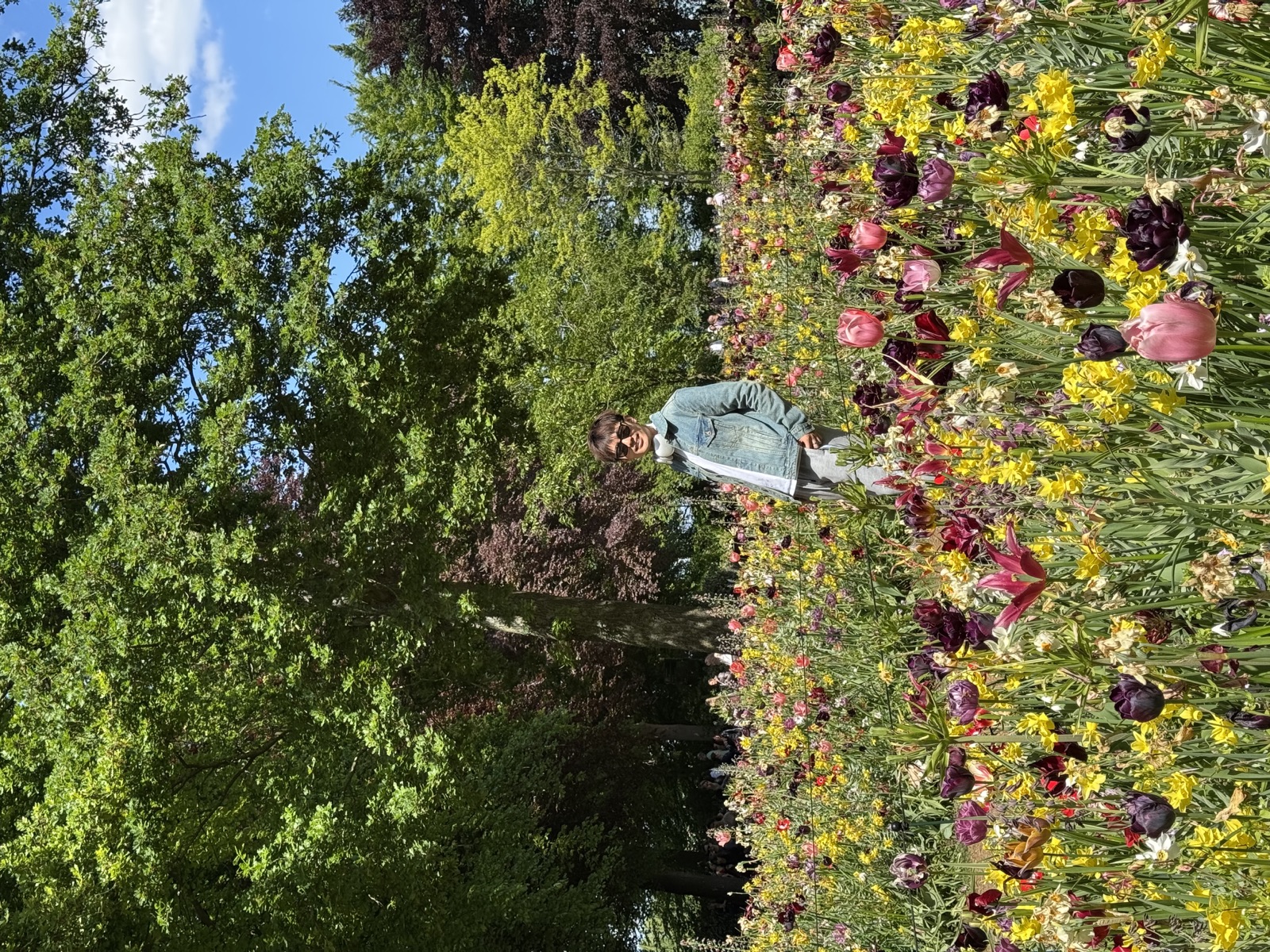 Tulip season in Amsterdam